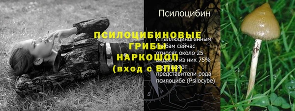 стафф Алексеевка