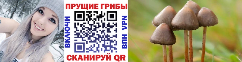 ссылка на мегу рабочий сайт  Фролово  Псилоцибиновые грибы Psilocybine cubensis 